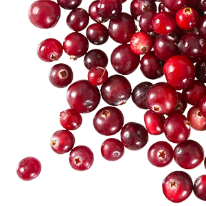 Cranberry_shutterstock_772545571_copy.avif