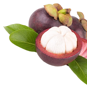 Mangosteen-Extract_shutterstock_206960812_copy.avif