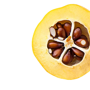 Quince-Extract_shutterstock_1292070478_copy.avif